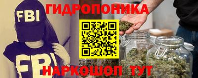 ГАЛЛЮЦИНОГЕННЫЕ ГРИБЫ Канаш