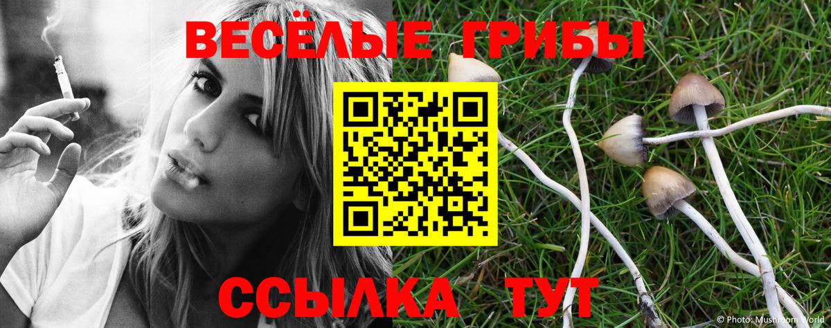 Галлюциногенные грибы MAGIC MUSHROOMS Кулебаки